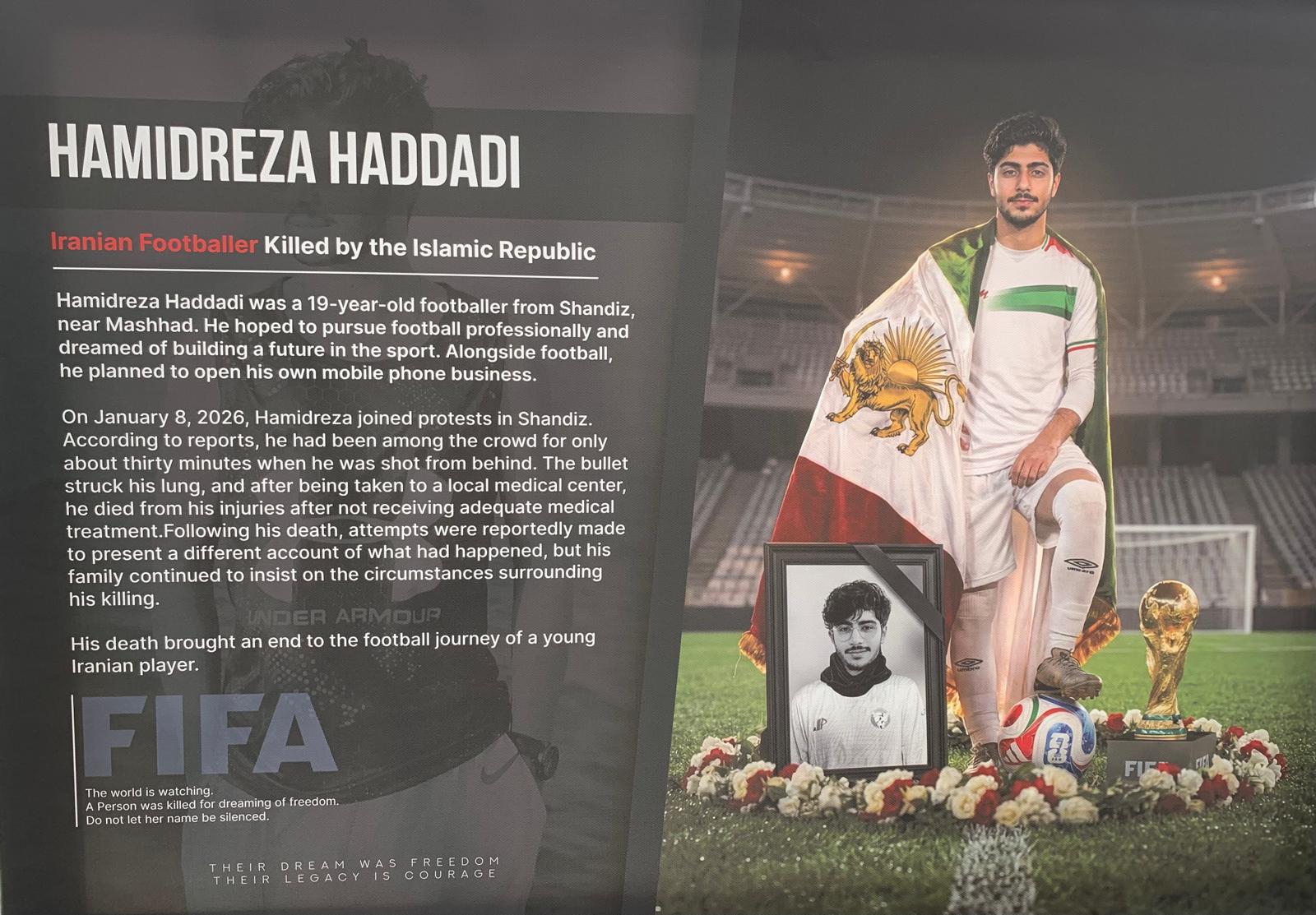 Hamidreza Haddadi